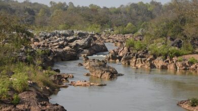 Photo of କୋରାପୁଟ ଗୁପ୍ତେଶ୍ଵର ଜଙ୍ଗଲକୁ ଜୈବବିବିଧ ଐତିହ୍ୟସ୍ଥଳୀ ଭାବେ ଘୋଷଣା