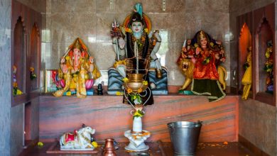 Photo of ଆଜି ଶ୍ରାବଣ ଶେଷ ସୋମବାର, ବିଭିନ୍ନ ଶୈବ୍ୟ ପିଠରେ କାଉଡିଆଙ୍କ ଜଳାଭିଷେକ