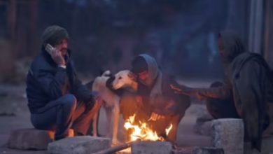 Photo of ରାଜ୍ୟରେ ପହିଲି ଆରମ୍ଭ ହେଲା ଶୀତ