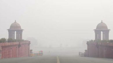 Photo of ଦିଲ୍ଲୀ ସମେତ ୧୦ଟି ରାଜ୍ୟରେ ପ୍ରବଳ ଥଣ୍ଡା