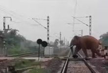 Photo of ହାତୀ ସହିତ ଧକ୍କା ହେଲା ରାଜଧାନୀ ଏକ୍ସପ୍ରେସ ଟ୍ରେନ: ଇଞ୍ଜିନ ସମେତ ଟି କୋଚ୍ ଲାଇନଚ୍ୟୁତ , ୮ଟି ହାତୀ ମୃତ