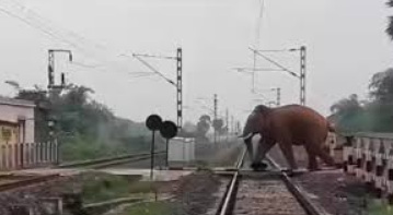 Photo of ହାତୀ ସହିତ ଧକ୍କା ହେଲା ରାଜଧାନୀ ଏକ୍ସପ୍ରେସ ଟ୍ରେନ: ଇଞ୍ଜିନ ସମେତ ଟି କୋଚ୍ ଲାଇନଚ୍ୟୁତ , ୮ଟି ହାତୀ ମୃତ