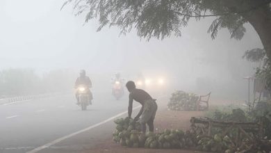 Photo of ସାରା ରାଜ୍ୟରେ ଜାରି ରହିଛି ହାଡଭଙ୍ଗା ଶୀତ ସାଙ୍ଗକୁ ଘନ କୁହୁଡ଼ି