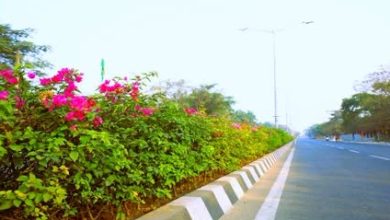 Photo of ରାଜ୍ୟରେ ବଦଳିଲା ପାଗ; କମୁଛି ଶୀତ, ବଢ଼ୁଛି ତାତି