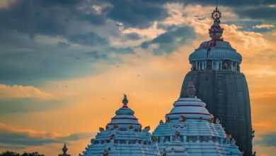 Photo of ବନକଲାଗି ନୀତି ଯୋଗୁଁ ଶ୍ରୀମନ୍ଦିରରେ ୫ ଘଣ୍ଟା ସର୍ବ ସାଧାରଣ ଦର୍ଶନ ବନ୍ଦ