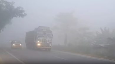 Photo of ପ୍ରବଳ ଶୀତରେ ଥରୁଛି ଓଡ଼ିଶା: ଆହୁରି ୪ ଦିନ ରହିବ ଘନ କୁହୁଡି