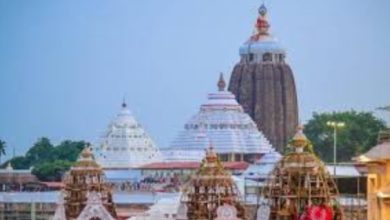 Photo of ଆଜି ବନକଲାଗି ନୀତି ପାଇଁ ଶ୍ରୀମନ୍ଦିରରେ ୪ ଘଣ୍ଟା ସର୍ବ ସାଧାରଣ ଦର୍ଶନ ବନ୍ଦ