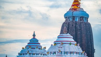 Photo of ପୁଣି ଆରମ୍ଭ ହେଲା ରତ୍ନଭଣ୍ଡାର ଗଣତି: ଭିତର କାଠ ନିକଟରୁ ଶ୍ରଦ୍ଧାଳୁଙ୍କ ଦର୍ଶନ ବନ୍ଦ