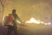 Photo of ନଳବଣ ନିଆଁକୁ ଆୟତ୍ତ କଲା ଅଗ୍ନିଶମ ବିଭାଗ