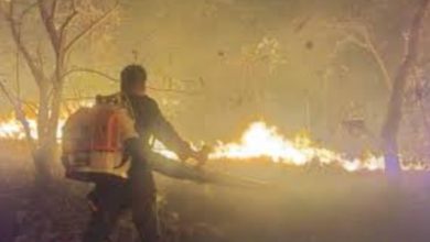 Photo of ନଳବଣ ନିଆଁକୁ ଆୟତ୍ତ କଲା ଅଗ୍ନିଶମ ବିଭାଗ