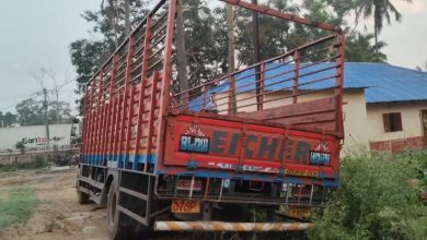 Photo of ଟ୍ରକ୍ରେ ଲିଫ୍ଟ ମାଗିବା ହେଲା କାଳ, ଲୁହା ରଡ୍ ପଡ଼ି ମାଆ ଓ କୁନି ପୁଅର ମୃତ୍ୟୁ