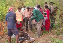 Photo of ଗୋପାଳପୁର ବ୍ୟବସାୟୀ ଅପହରଣ ଓ ହତ୍ୟାକାଣ୍ଡ ଘଟଣା: ୮ଜଣ ଅଟକ