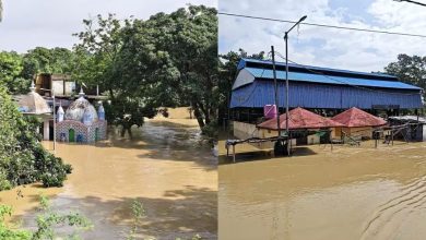 Photo of ବନ୍ୟାର ପ୍ରାଥମିକ କ୍ଷୟକ୍ଷତି ରିପୋର୍ଟ: ପ୍ରଭାବିତ ହୋଇଛନ୍ତି ୮ ଲକ୍ଷରୁ ଅଧିକ ଲୋକ