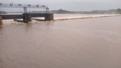 Photo of ଫୁଲୁଛି ସାଳନ୍ଦୀ ଓ ବୈତରଣୀ: ଭଦ୍ରକରେ ବନ୍ୟା ପରିସ୍ଥିତି, ଇଟାପାଳ ନିକଟରେ ୧୫ ଫୁଟର ଘାଇ